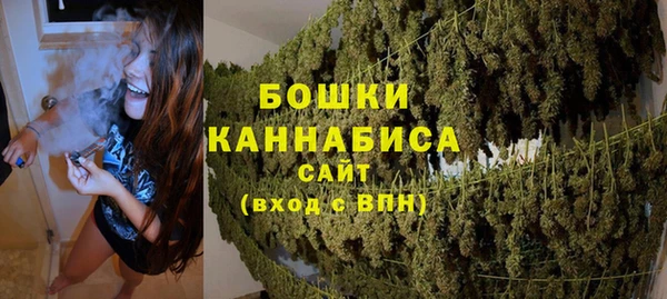 ешки Арсеньев