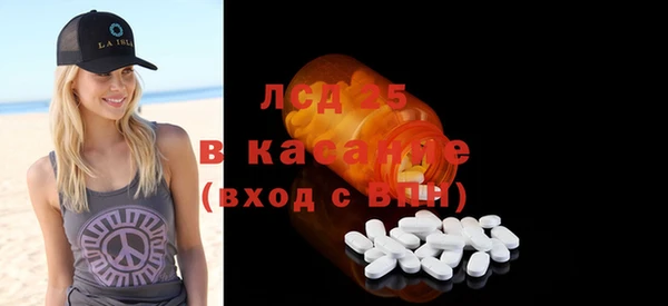 прущие грибы Армянск