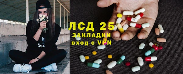 прущие грибы Армянск
