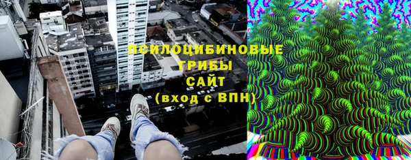 прущие грибы Армянск