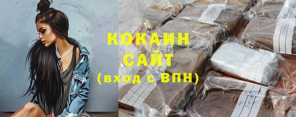 ешки Арсеньев