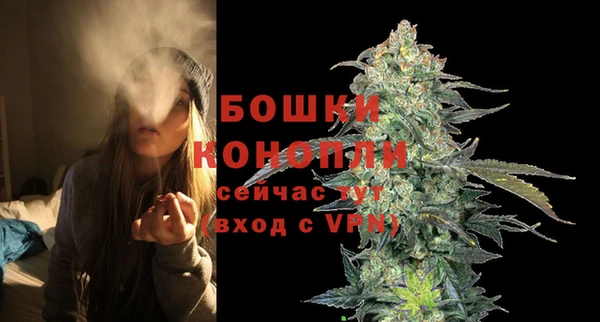 ешки Арсеньев