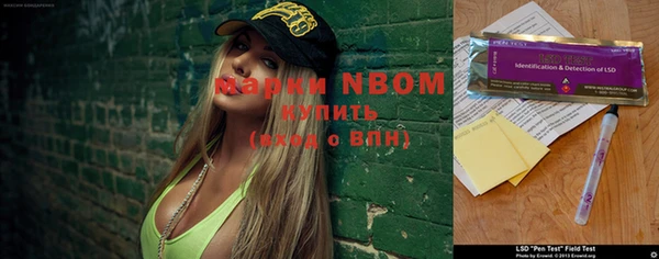 прущие грибы Армянск