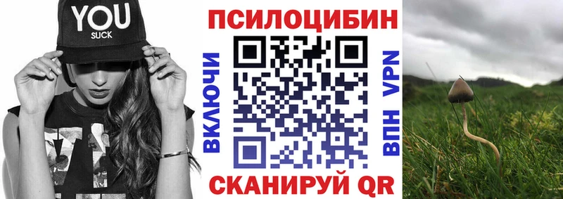 Псилоцибиновые грибы мицелий  Купить  Белорецк 